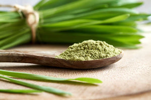 Bio Weizengrassaft Pulver