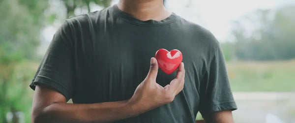 Herz, Gefässe & Kreislauf