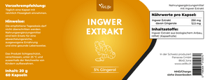 Ingwer Extrakt Kapseln